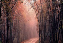 欧冠-姆巴佩失点麦卡利斯特破门 利物浦2-0皇马.