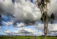 乐竞体育官网:“尔滨”遇到亚冬,冰雪更加闪亮2025-02-13.