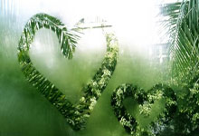 雷迪克:希望未来15-20年都担任湖人主帅,会长期留在洛杉矶.