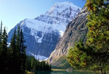 穷疯了？曼联看上的小妖，被标价1亿英镑！.