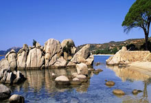 乐竞体育官网：[澳网]王紫莹／李晓辉夺中国轮椅网球史上首个大满贯.